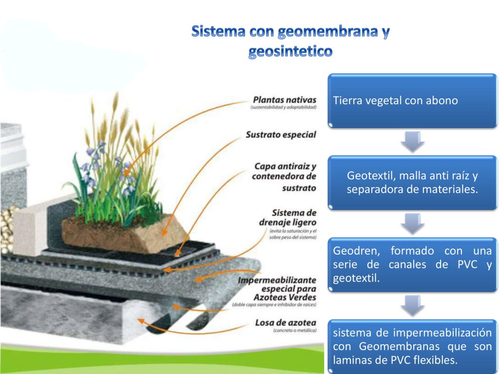 Sistema azotea verde