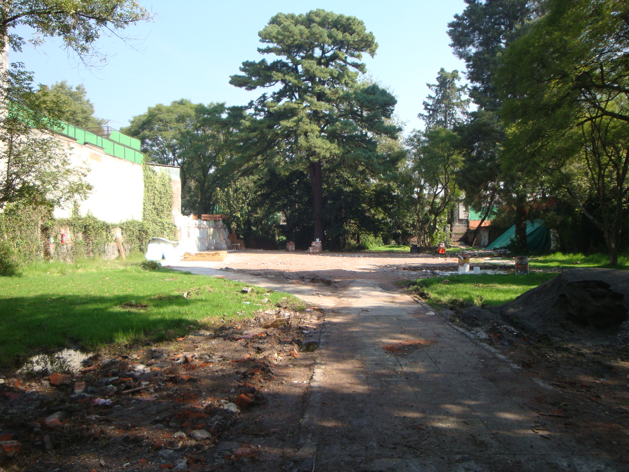 Paisaje y áreas verdes
