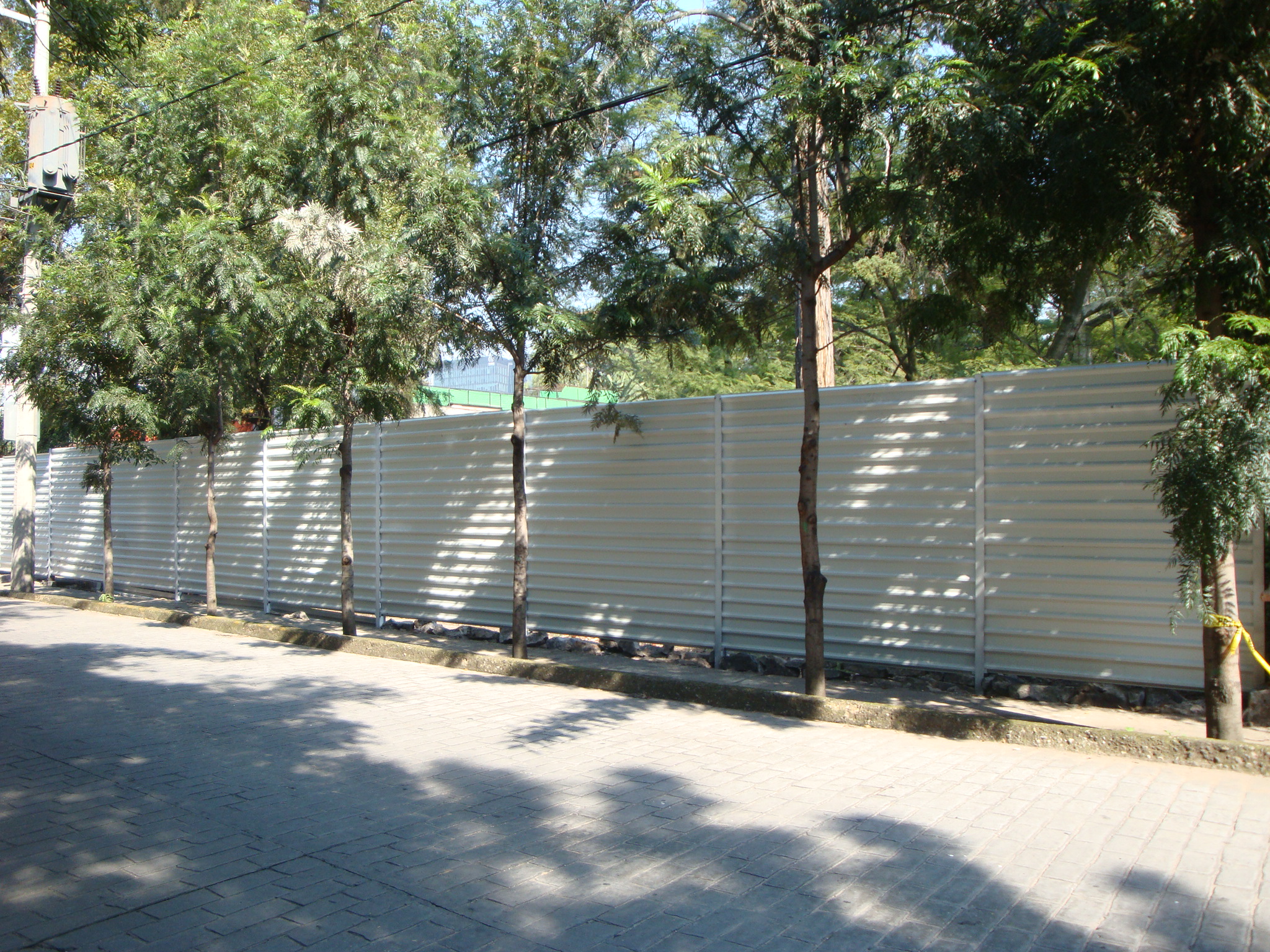 Plantación y mantenimiento