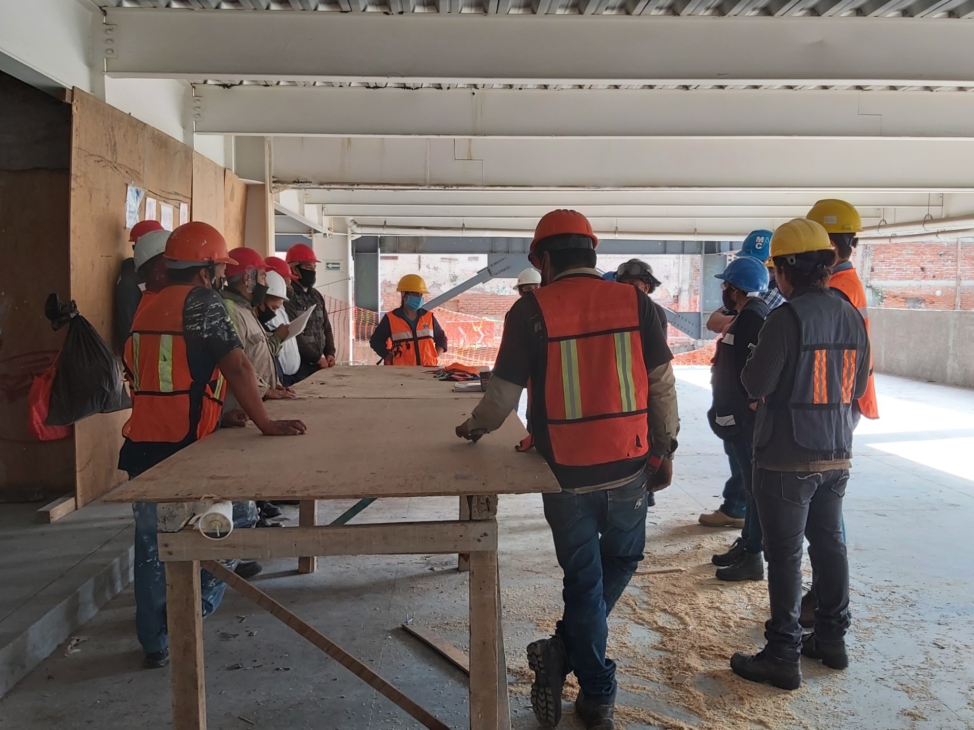 Equipo de trabajo en campo de Altra Medio Ambiente